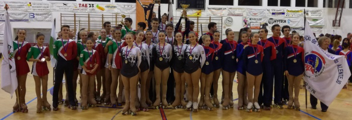 Inter Associa&ccedil;&otilde;es de Patinagem Art&iacute;stica
