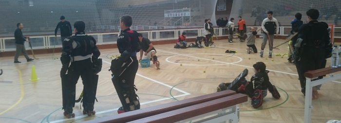 Estágio Distrital Guarda-Redes SUB-13