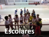 Festas Finais de Bambis Benjamins Escolares 2016 escolares